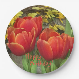 Birthday Orange Red Tulips Pappteller
