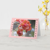 Birthday Orchids Karte (Gelbe Blume)