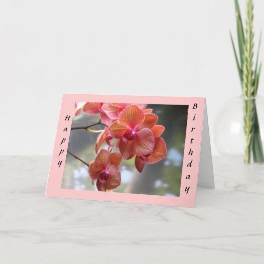 Birthday Orchids Karte (Vorderseite)