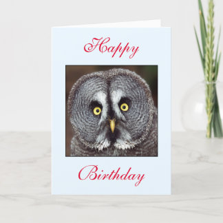 Birthday Owl Greeting Card Karte