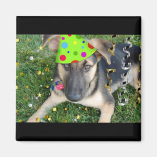 Birthday Party Animal German Shepherd Magnet