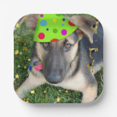 Birthday Party Animal German Shepherd Pappteller (Vorderseite)