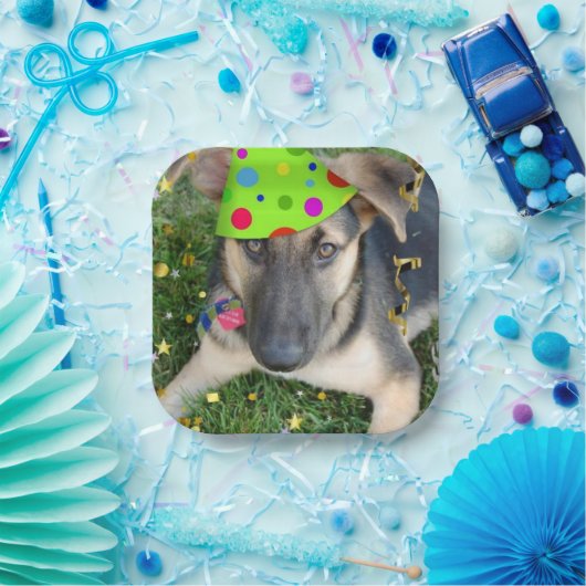 Birthday Party Animal German Shepherd Pappteller (Party)