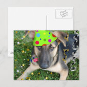 Birthday Party Animal German Shepherd Postkarte (Vorne/Hinten)