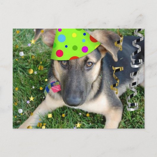 Birthday Party Animal German Shepherd Postkarte (Vorderseite)