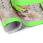 Birthday Party Calico Cat Geschenkpapier (Rolleneckpunkt)