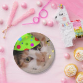 Birthday Party Calico Cat Pappteller (Party)