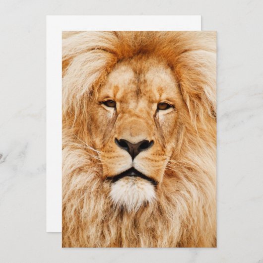 Birthday Party Einladung (Vorne/Hinten)