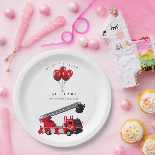 Birthday Party Pappteller (Party)