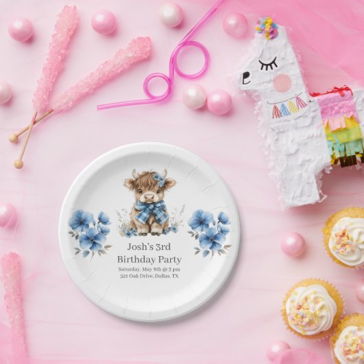 Birthday Party Pappteller (Party)