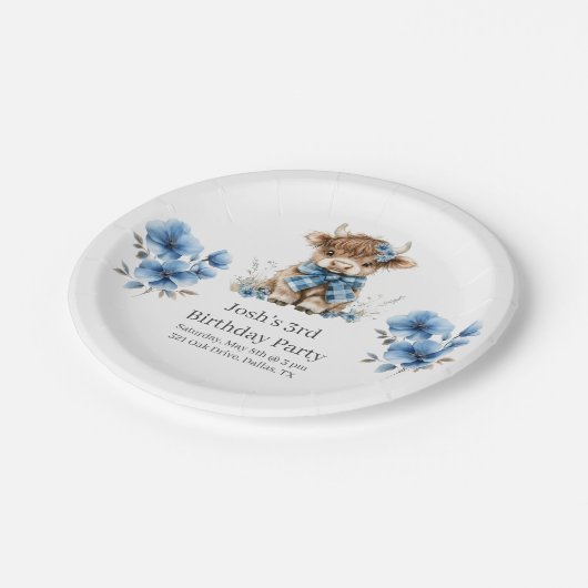 Birthday Party Pappteller (Schrägansicht)