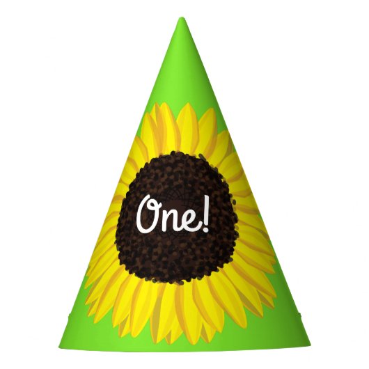 Birthday Party Partyhütchen (Vorderseite)