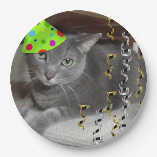 Birthday Party Russische Blaue Katze Pappteller (Vorderseite)