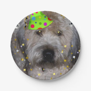 Birthday Party Wheaten Terrier Pappteller
