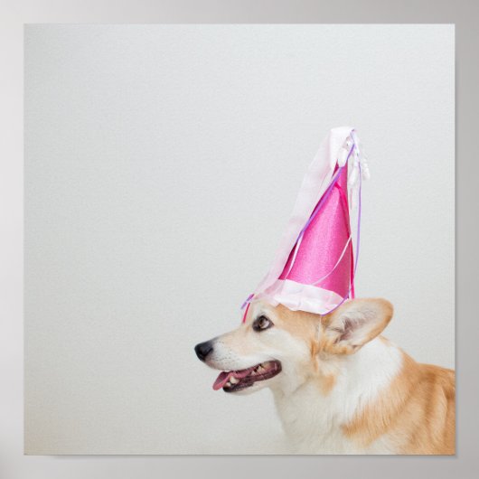 Birthday Pembroke Welsh Corgi Dog Poster (Vorne)