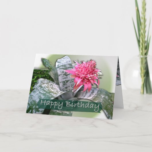 Birthday Pink Bromeliad Karte (Vorderseite)