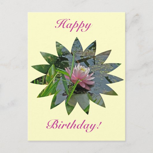 Birthday Pink Water Lily Postkarte (Vorderseite)