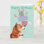 Birthday präsentiert Shiba Inu Karte (Gelbe Blume)