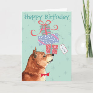 Birthday präsentiert Shiba Inu Karte