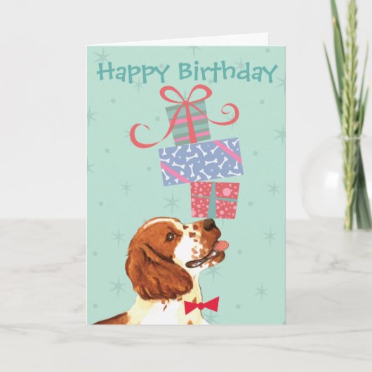 Birthday Presents Welsh Springer Spaniel Karte (Vorderseite)
