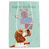 Birthday Presents Welsh Springer Spaniel Mittlere Geschenktüte (Vorderseite)
