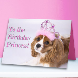 Birthday Princess Cavalier King Charles Card Karte