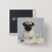 Birthday Pug Button (Vorne & Hinten)