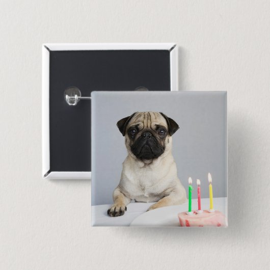 Birthday Pug Button (Vorne & Hinten)