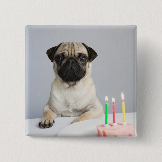 Birthday Pug Button (Vorderseite)