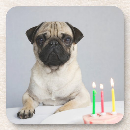 Birthday Pug Getränkeuntersetzer (Vorderseite)