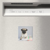 Birthday Pug Magnet (In Situ (Geschirrspüler))