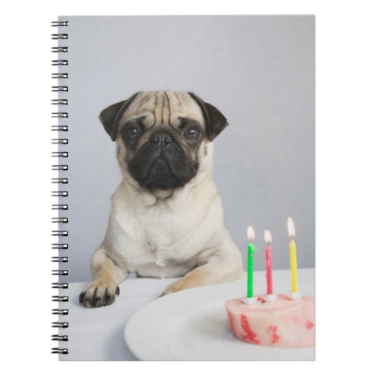 Birthday Pug Notizblock (Vorderseite)