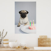 Birthday Pug Poster (Küche)