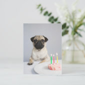 Birthday Pug Postkarte (Stehend Vorderseite)