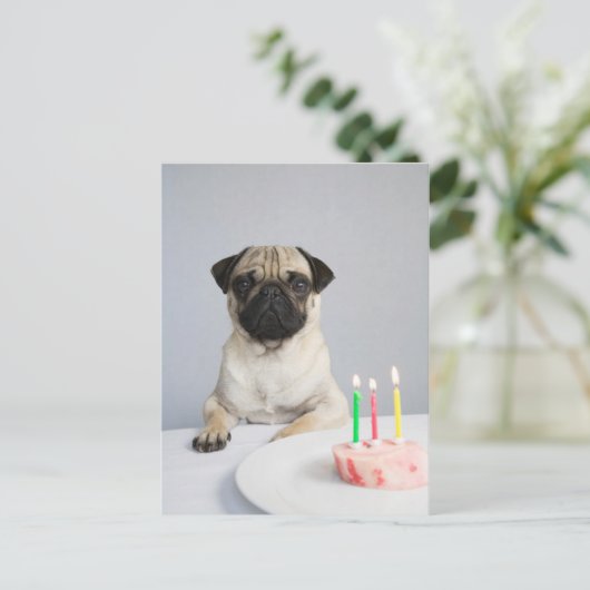 Birthday Pug Postkarte (Stehend Vorderseite)
