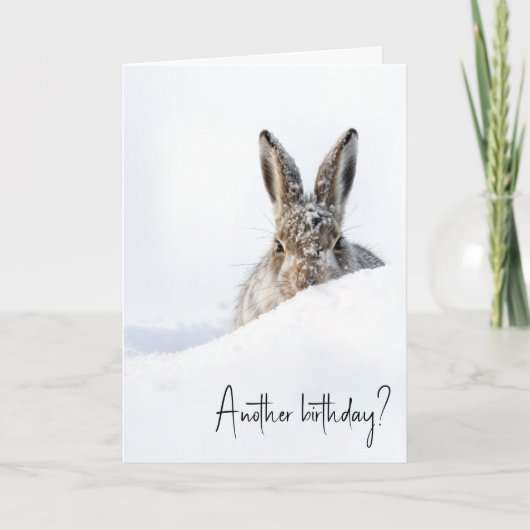 Birthday Rabbit Peeking Over a Snowdrift Karte (Vorderseite)