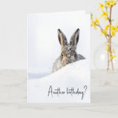 Birthday Rabbit Peeking Over a Snowdrift Karte (Gelbe Blume)