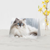 Birthday Ragdoll Chat On a Fur Rug Karte (Gelbe Blume)