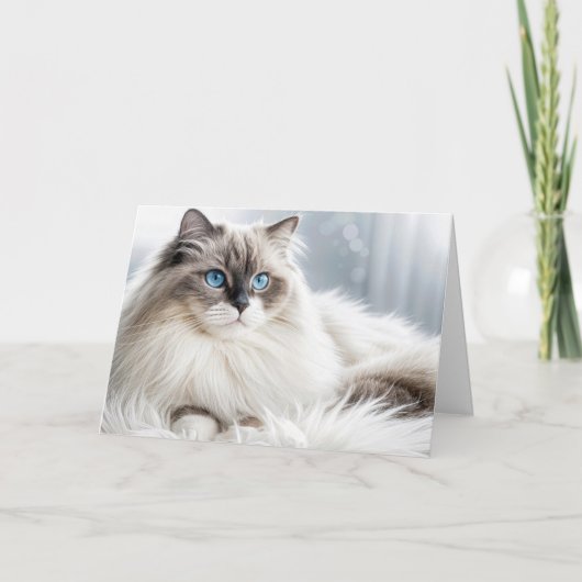 Birthday Ragdoll Chat On a Fur Rug Karte (Vorderseite)