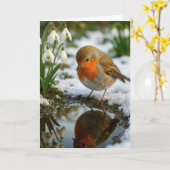 Birthday Robin with Snowdrops Karte (Gelbe Blume)