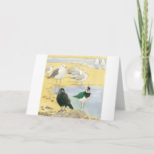 Birthday Seabird Jackdaw Lapwing Beach Nature Card Karte (Vorderseite)