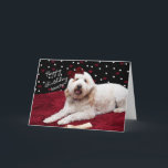 BIRTHDAY - SECRET PAL - GOLDEN DOODLE DOG KARTE<br><div class="desc">SEE OTHER CARDS WITH SAME IMAGE INC. BIRTHDAYS AND EXPRESSIONS,  USE GOLDEN DOODLE FOR KEY WORD</div>