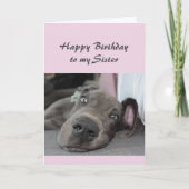 Birthday Sister Fun Dog Definition von Relax Spaß Karte (Vorderseite)