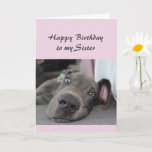 Birthday Sister Fun Dog Definition von Relax Spaß Karte<br><div class="desc">Herzlichen Glückwunsch zum Geburtstag Sister Definition von Relax Spaß Gruß mit niedlichen entspannenden Great Dane Hund</div>