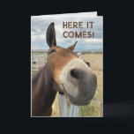 Birthday Smile Funny Mule Animal Card Real Echten  Dankeskarte<br><div class="desc">Ein freundliches Maultier sah mich an und lächelte. Wer kann diesem Lachen widerstehen,  jenes Lächeln. Geburtstagsgruß sind glückliche Zeiten.</div>