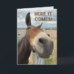 Birthday Smile Funny Mule Animal Card Real Echten  Dankeskarte<br><div class="desc">Ein freundliches Maultier sah mich an und lächelte. Wer kann diesem Lachen widerstehen,  jenes Lächeln. Geburtstagsgruß sind glückliche Zeiten.</div>