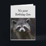 Birthday Son Fun Age Spaß Sad Raccoon Spaß Card Karte<br><div class="desc">Blahs zum Geburtstag für Ihr Son Fun Age Nur weil Sie eine Menge davon gehabt haben. Humorale depressive Raccoon</div>