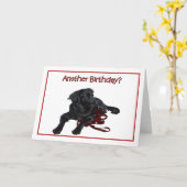 Birthday Spaß Black Labrador Retriever Karte (Gelbe Blume)
