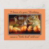 Birthday Squirrel Postkarte (Vorderseite)