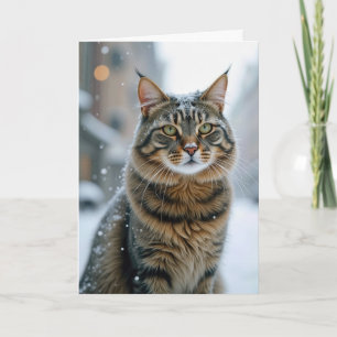Birthday Street Cat in Snow Karte